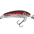H60 Rainbow Trout