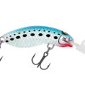 H50 Pilchard