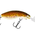 H59 Brown Trout