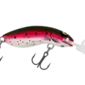 H60 Rainbow Trout