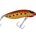 H70 King Brown