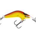 R11 Chrome Gold Orange Back