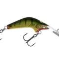R16 Swamp Tiger