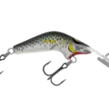 R25 Mullet