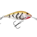 R33 Jelly Prawn