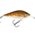 H59 Brown Trout