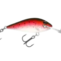 H60 Rainbow Trout