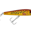 R9 Coral Trout