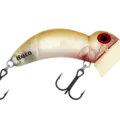 R33 Jelly Prawn