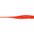 #207 Fluoro Orange