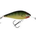 R16 Swamp Tiger