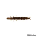 Mudbug