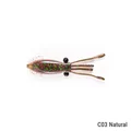 C03 Natural