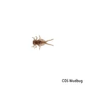 C05 Mudbug