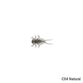 C04 Natural