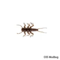 C05 Mudbug