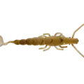 #211 Raw Prawn