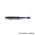 C01 Southern Junebug