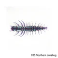 Southern Junebug