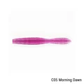 C05 Morning Dawn