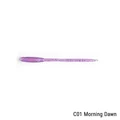 C01 Morning Dawn