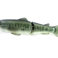 #16 Largemouth