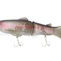 Limited Purple Rainbow