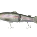 Stocker Trout