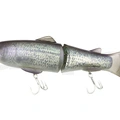 Crappie
