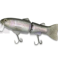 Stocker Trout