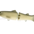 #02 Wild Carp