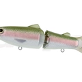 #06 Rainbow Trout