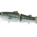 #11 Baby Bass
