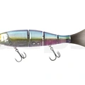 #11 Blue Back Herring