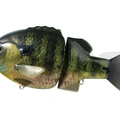 #01 Real Bluegill