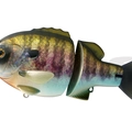 #02 Flash Baby Gill