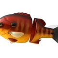 #06 Red Gill