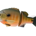 #11 Spawning Gill