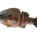 #12 Natural Ghost Gill