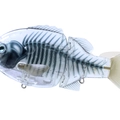 #14X Ray