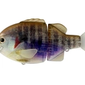 #16 Grass Gill