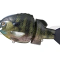 #01 Real Bluegill