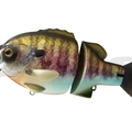 #02 Flash Baby Gill