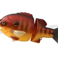 #06 Red Gill