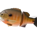#11 Spawning Gill