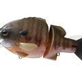 #12 Natural Ghost Gill