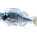 #14X Ray