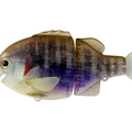 #16 Grass Gill