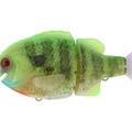 #17 Lime Back Gill