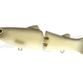 #02 Wild Carp